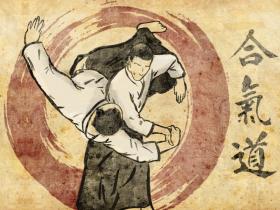 Aikido_2_by_Diogochewbacca.jpg